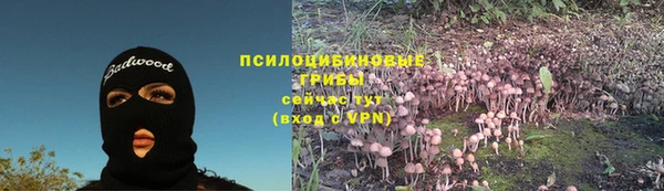 прущий лед Армянск