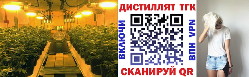 ТГК THC oil  Сосновый Бор 