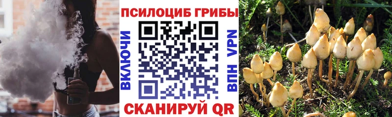 Псилоцибиновые грибы Magic Shrooms  МЕГА зеркало  Сосновый Бор 